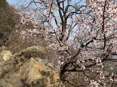 -北京鹫峰国家森林公园