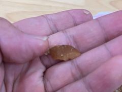 -漠漠家·凉皮·中式汉堡(五角场店)