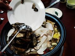 -菌之家·专业纯野生菌火锅·特色炒菌