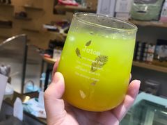-飞行喵MR PILOT|猫舍·猫咖(静安大融城店)