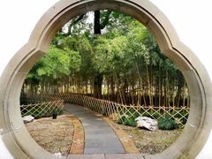 -西湖外事游船(花港观鱼码头)