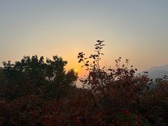 -北京西山国家森林公园