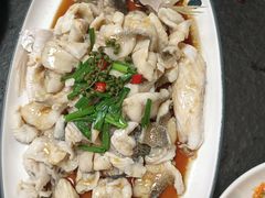 滕椒海鲈鱼-徐包铺(丰润街店)