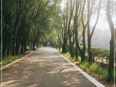 -同里国家湿地公园