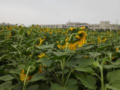-南京信息职业技术学院