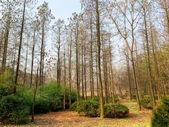 -蜀冈西峰生态公园