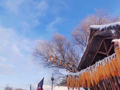 -雾凇岛