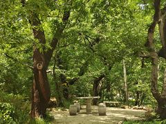 -大连植物园