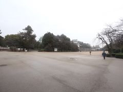 -名古屋城