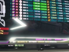 -锐擎卡丁车主题乐园(郊野公园店)