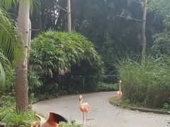 -广东茂名森林公园