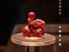-洛阳博物馆