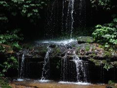 -蜀南竹海景区