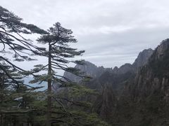 -黄山风景区