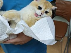 -宠颐生中康贝怡动物医院