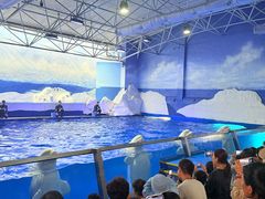 -秦皇岛乐岛海洋王国