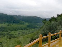 -御道口草原森林风景区