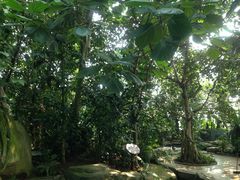 -南山植物园