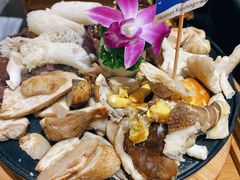 -一朵菌·野生菌探索家火锅(南亚店)