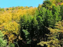 -太湖源风景区