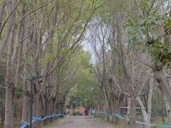 -嘉北郊野公园