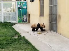 -西安秦岭野生动物园