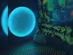 -天津梵高星空艺术馆(天河城旗舰店)