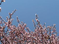 -石湖景区