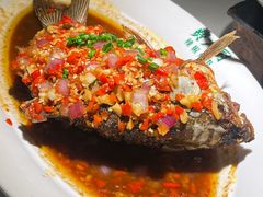 -费大厨辣椒炒肉(高铁吾悦广场店)