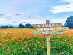 -汉长安城未央宫国家考古遗址公园