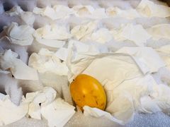 -塘栖枇杷特色园区