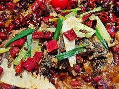 -老板恋上鱼(恒隆广场店)