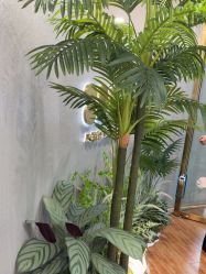 -八佰伴8008星级形象店