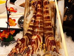 -鲜入围煮花胶鸡海鲜火锅