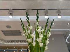 -好利来(奉天店)