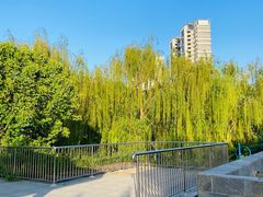 -丰台科技园生态主题公园