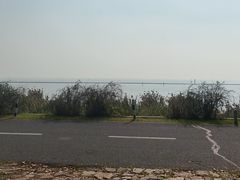 -贡湖湾湿地公园