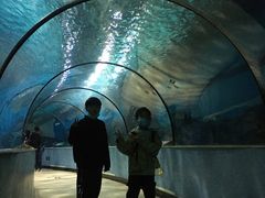 -苏州海洋馆