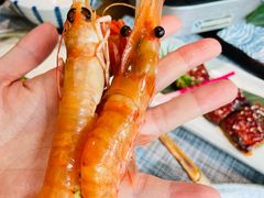 -乐亭日本料理(彩虹本店)
