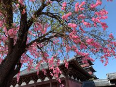 -祥源·阜阳生态乐园