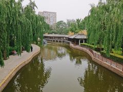 -团结湖公园