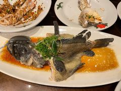 清蒸石斑鱼-达叔香味海鲜(海棠68环球美食街店)