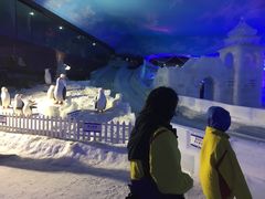 -世界之窗阿尔卑斯冰雪世界