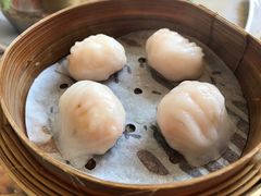 晶瑩鮮蝦餃-添好运点心专门店(北角店)