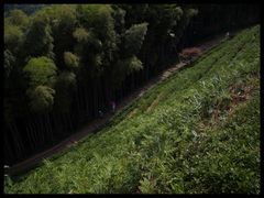 -径山寺