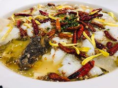 -新太二·鲜料川菜(东汇城店)