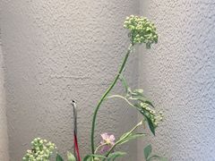 -红小满休闲餐厅(十全街店)