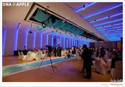 -DNA Wedding 婚礼记(上海店)