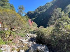 -苍山感通索道