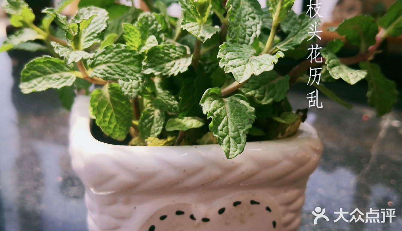 据说这两款甜品在澳门可是齐名的哦！那么搭配着一起吃